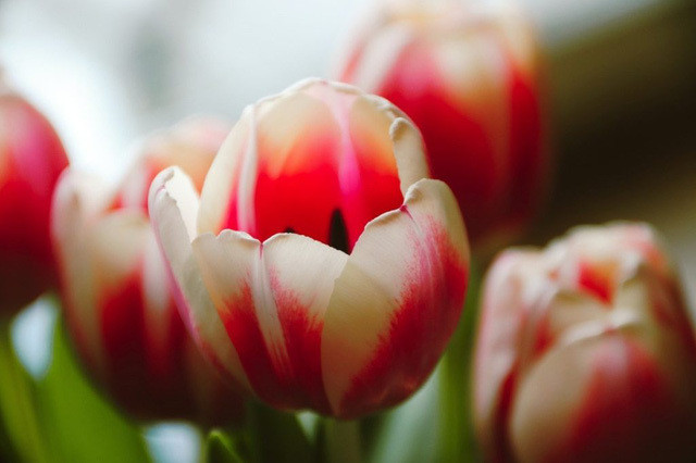 Bi mat hoi chung kinh te dang sau nhung giao dich lan dot bien-Hinh-4