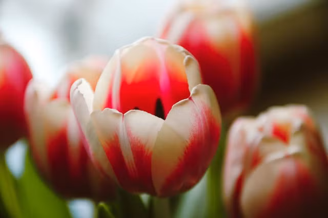 Bi mat hoi chung kinh te dang sau nhung giao dich lan dot bien-Hinh-4