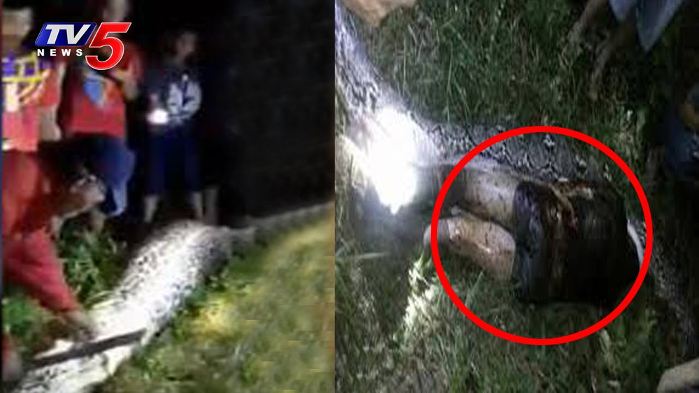 Dân làng chứng kiến cảnh tượng kinh hãi chưa từng có ở đồi cọ - Hình 2 Dan lang chung kien canh tuong kinh hai chua tung co o doi co-Hinh-2