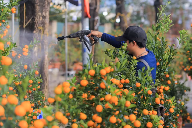 Quat, dao sale sap san van vang bong nguoi mua-Hinh-6