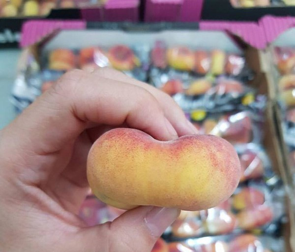 Vài năm trở lại đây, đào dẹt Tây Ban Nha được rao bán khá nhiều tại thị trường Việt Nam với giá dao động từ 500.000-600.000 đồng/kg. Ảnh: Vietnamnet