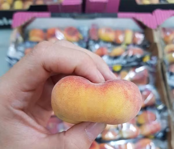 Vài năm trở lại đây, đào dẹt Tây Ban Nha được rao bán khá nhiều tại thị trường Việt Nam với giá dao động từ 500.000-600.000 đồng/kg. Ảnh: Vietnamnet