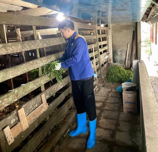 9x Ha Tinh bo viec nghin do ve que khoi nghiep, thu nua ty moi thang-Hinh-2