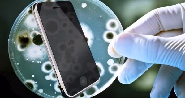 Dien thoai mang nhieu vi khuan gap 10 lan bon cau