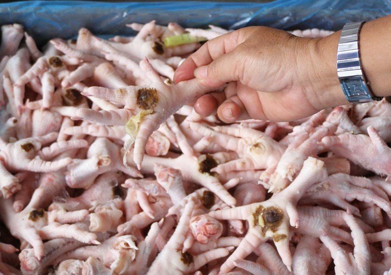 Chan ga re may cung khong nen mua neu ban phat hien dieu nay-Hinh-5