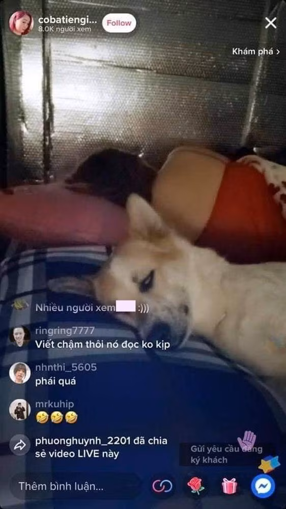 Chu cho mien Tay thanh hien tuong livestream, dien net ngu hut 8K nguoi xem