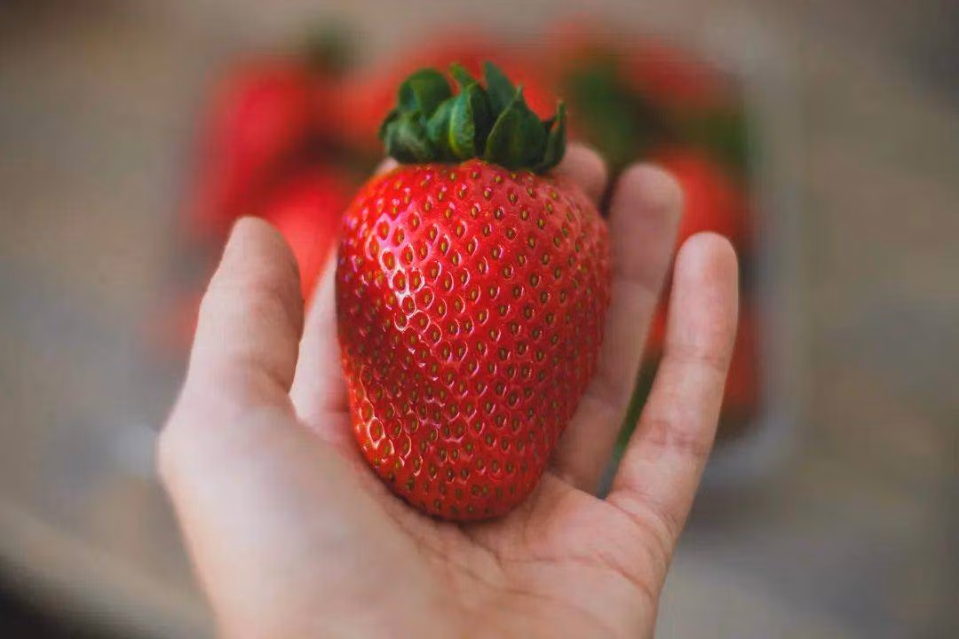 Loai qua bi danh gia ban nhat trong 3 nam lien tiep-Hinh-2