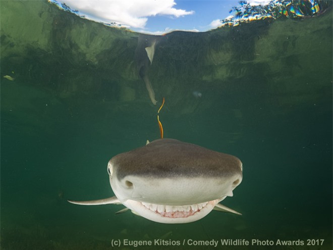 Đang tham gia giao thông thì bỗng nhiên gặp "sự cố", giải pháp phù hợp nhất có lẽ là hãy tự tin khoe răng.