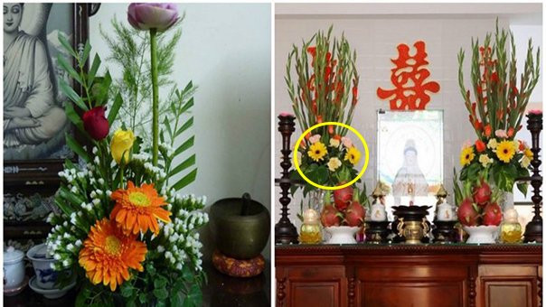 Ngày Tết chưng 7 loại hoa này trong nhà: Thần Tài ghé thăm Ngay Tet chung 7 loai hoa nay trong nha: Than Tai ghe tham