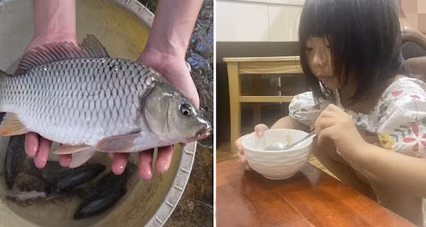 8 loai ca dau bang giup tang IQ va chieu cao vuot troi