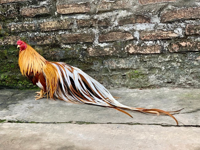 8x Ha Noi lam viec ai cung phan doi, thu ve ca ty dong/nam-Hinh-3