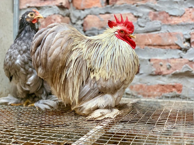 8x Ha Noi lam viec ai cung phan doi, thu ve ca ty dong/nam-Hinh-6