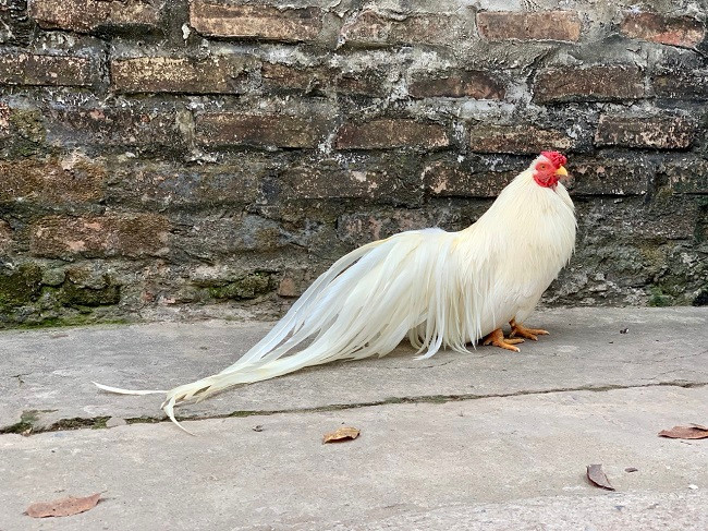 8x Ha Noi lam viec ai cung phan doi, thu ve ca ty dong/nam-Hinh-4