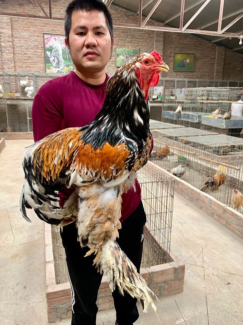 8x Ha Noi lam viec ai cung phan doi, thu ve ca ty dong/nam-Hinh-11