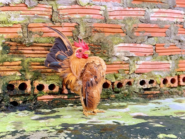 8x Ha Noi lam viec ai cung phan doi, thu ve ca ty dong/nam-Hinh-7