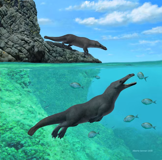 Ca voi hoa ra cung da tung co 4 chan, di am am tren can