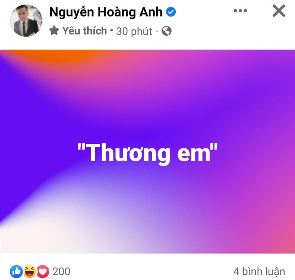 Hoang Anh 