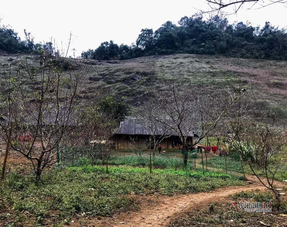 Ban canh dao dan ban co tien an Tet-Hinh-2