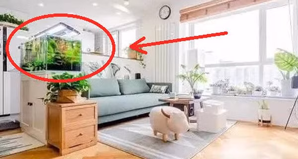 Nha chat hep den may cung nen co mon do nay, vua hut loc lai chieu tai