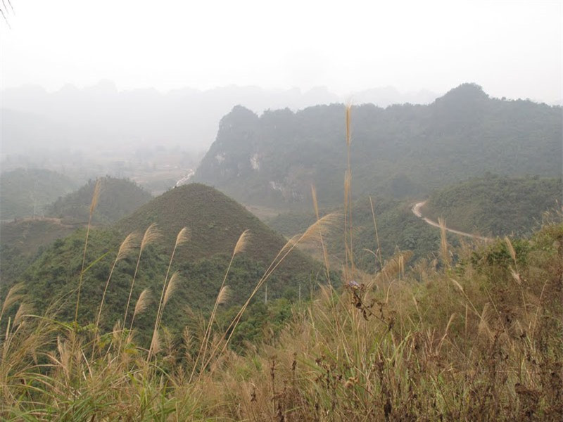 ##sc### Con đường này luôn tấp nập người qua lại bởi nếu muốn ghé thăm những địa danh nổi tiếng như động Ngườm Ngao, thác Bản Giốc, hang Cô Tiên… đều phải đi qua con đèo này. Ảnh: Ngọc Viên. 