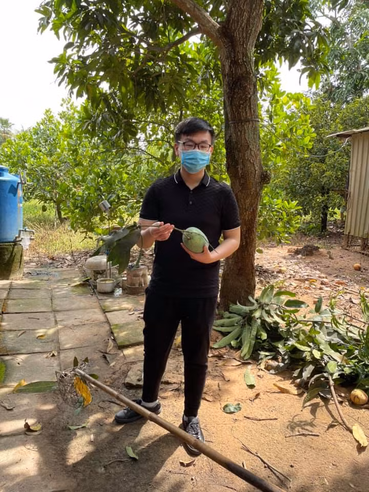 3 anh em o TP.HCM ban xoai, ung ho tien cho quy vaccine-Hinh-4