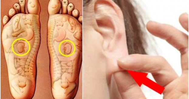 8 cách chăm sóc thận đơn giản mà ai cũng làm được 8 cach cham soc than don gian ma ai cung lam duoc