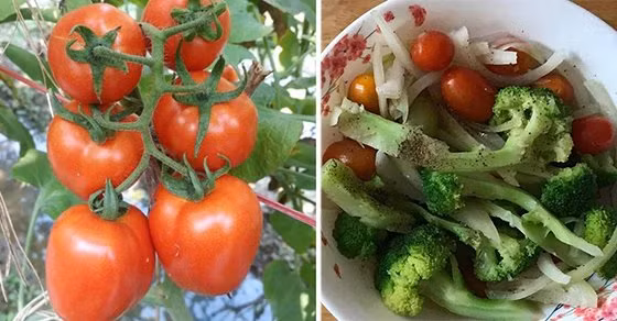 Dem ca chua nau voi 2 thu nay, vua ngon lai bo hon nhan sam