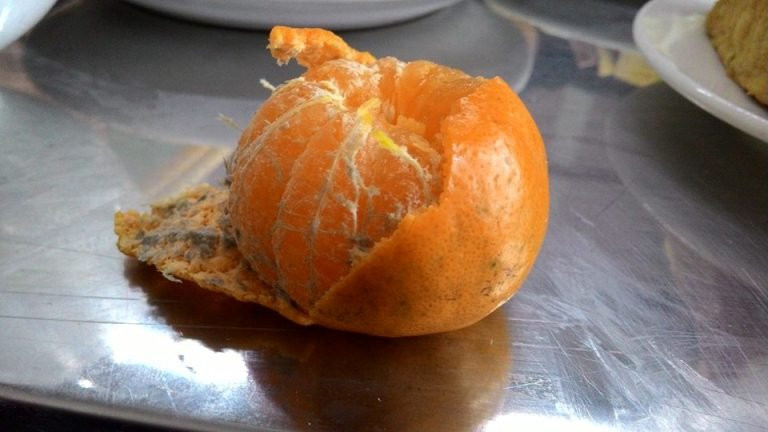 5 thuc pham quen thuoc chua ca o vi khuan-Hinh-2