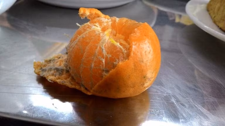 5 thực phẩm quen thuộc chứa cả ổ vi khuẩn - Hình 2 5 thuc pham quen thuoc chua ca o vi khuan-Hinh-2