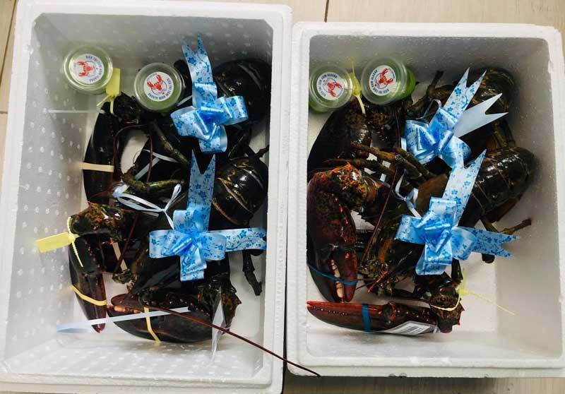 Gia qua re, dan tinh o at mua cua hoang de lam qua biet Tet