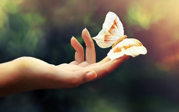 Cua nha xuat hien 3 diem lanh: Gia chu tin vui lien tiep giau co