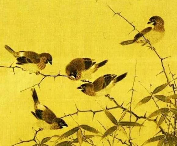 Dan ong hay dan ba sinh thang am lich nay, duong doi suon se-Hinh-3