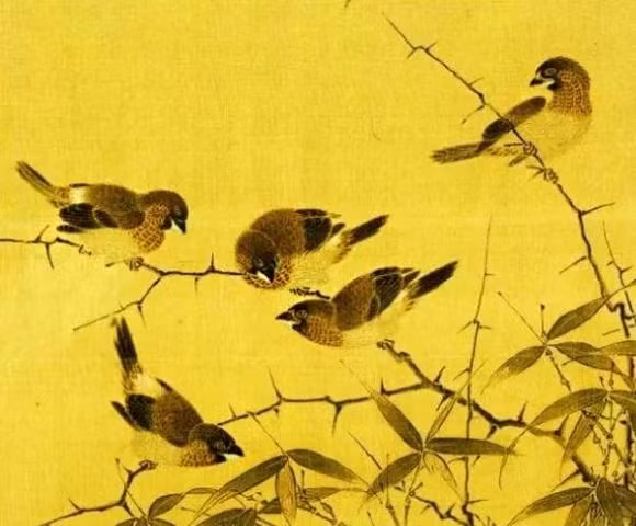 Dan ong hay dan ba sinh thang am lich nay, duong doi suon se-Hinh-3