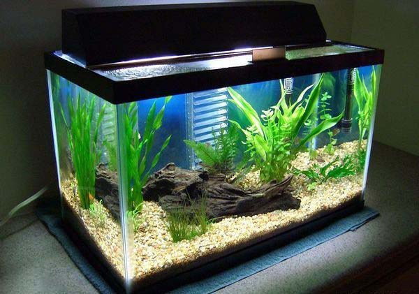 Mở cửa phòng ngủ thấy 6 điều này sửa ngay kẻo vợ chồng ly tán Mo cua phong ngu thay 6 dieu nay sua ngay keo vo chong ly tan