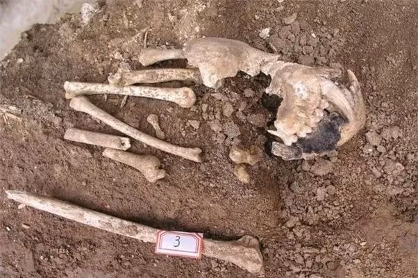 Khai quật lăng mộ bà nội Tần Thủy Hoàng ảnh 3