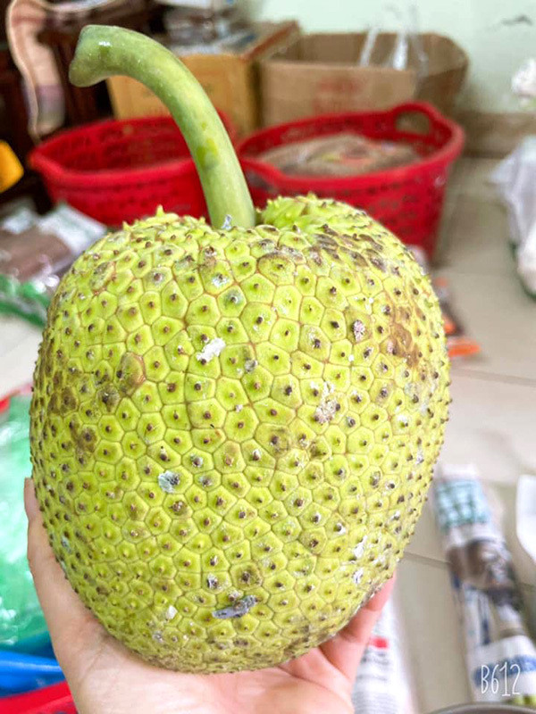 Qua la mien Tay: Ngoai trong nhu mit, trong lai giong khoai