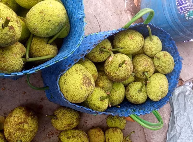 Qua la mien Tay: Ngoai trong nhu mit, trong lai giong khoai-Hinh-3