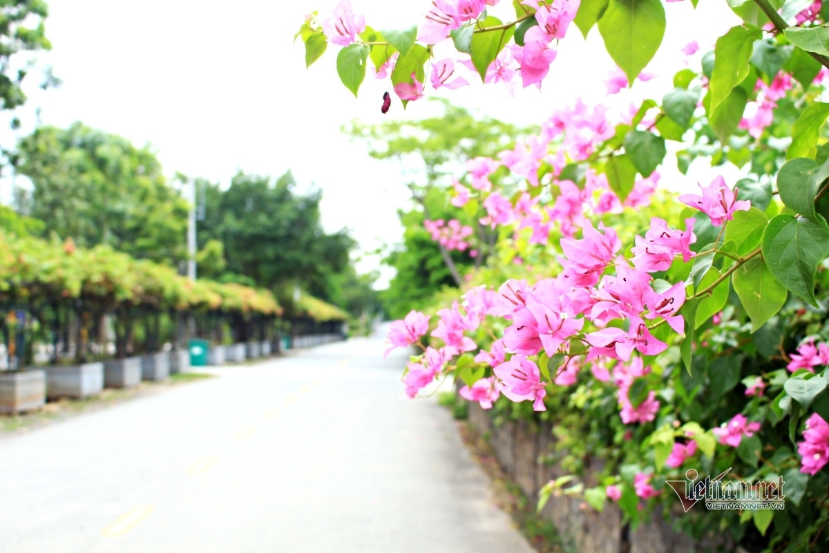 Tôi không muốn về quê chồng bởi những câu nói móc máy ảnh 1