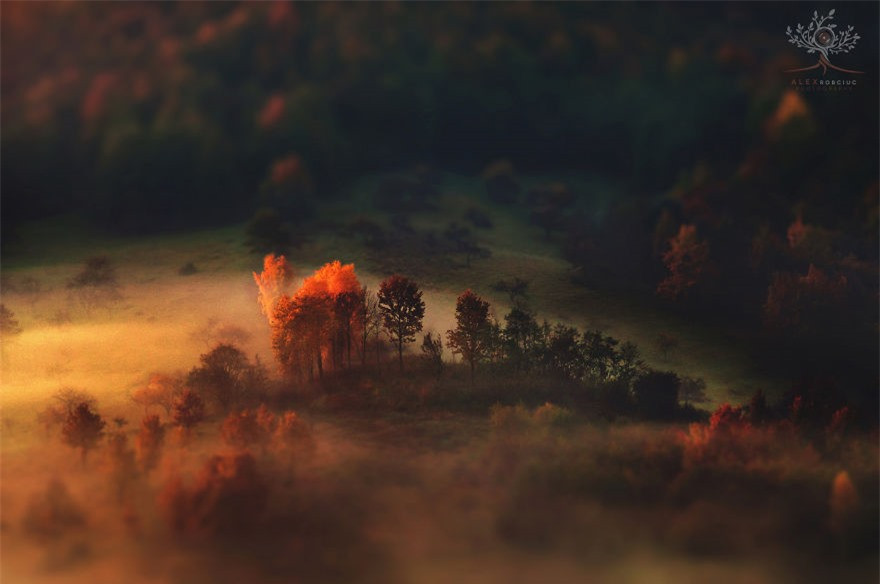 Alex Robciuc chụp ảnh bằng máy DSLR rẻ tiền cùng một ống kính kit và một ống tele trị giá khoảng 150 USD.Ngoài ra, anh sử dụng một số bộ lọc.