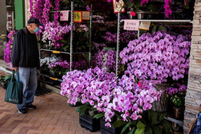 Nghich ly choi lan: Noi ban tien ty, noi vut bo vi khong ai mua-Hinh-3