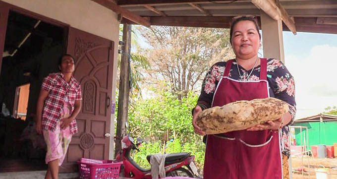 Nhặt được bãi nôn cá voi hơn 260.000 USD khi đi bộ Nhat duoc bai non ca voi hon 260.000 USD khi di bo