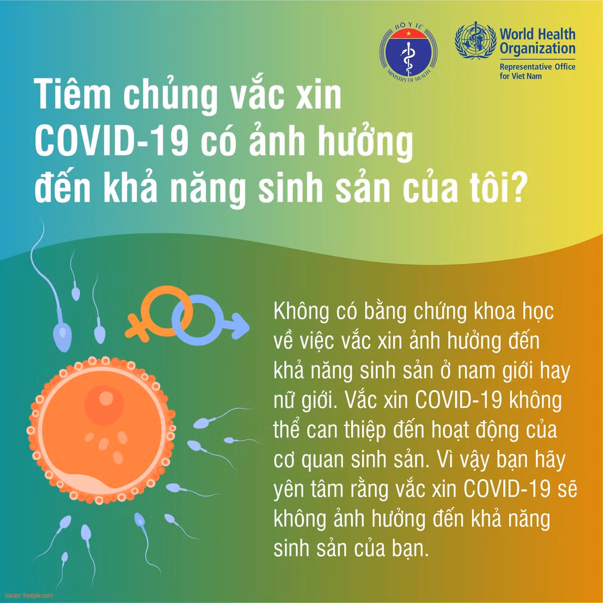 Tiem vac xin phong Covid-19 co anh huong den kha nang sinh san?