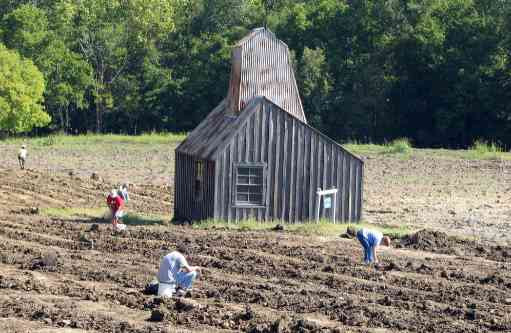 Đi dạo công viên nhặt được viên kim cương khổng lồ tiền tỷ ảnh 1