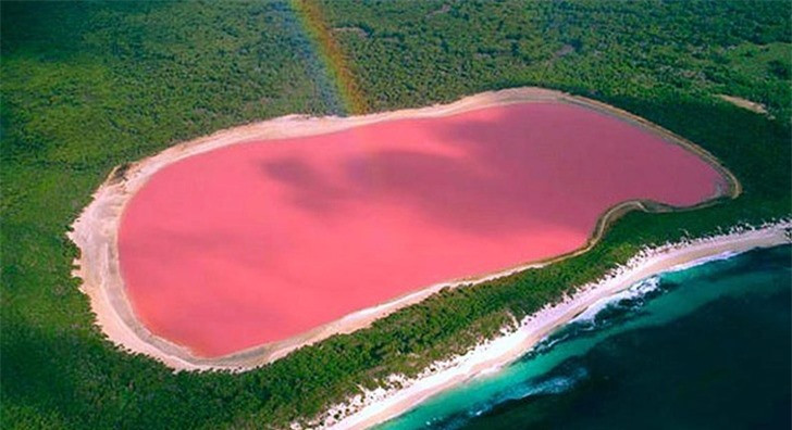 Một hồ nước ở Australia có màu hồng do một loại vi khuẩn đặc biệt.