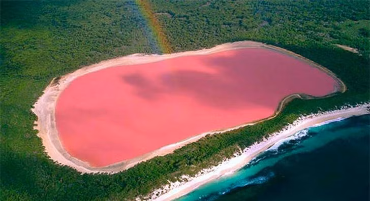 Một hồ nước ở Australia có màu hồng do một loại vi khuẩn đặc biệt.