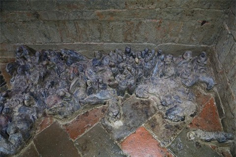 Các nhà khảo cổ cũng đã phát hiện hơn 100 di vật được tùy táng trong ngôi mộ mới phát hiện này. Tuy nhiên, theo thông tin được cung cấp, ngôi mộ đã từng bị đào trộm nên hầu hết các cổ vật quý giá đều đã bị mất.