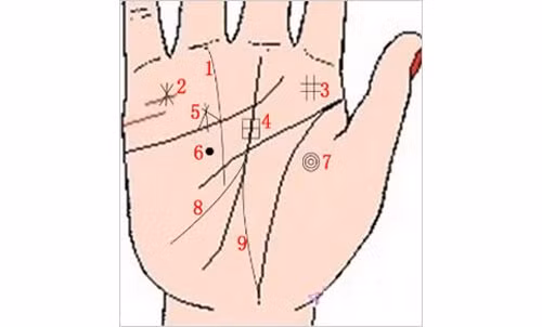 9 duong van tay cua nguoi nhieu tien lam cua