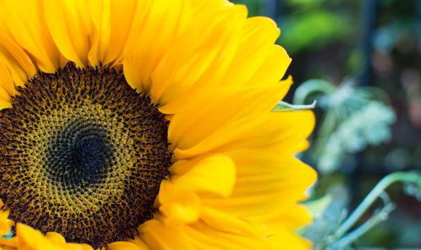 Nguoi sinh vao 3 thang Am lich nay, thang 10 tai van dat dinh