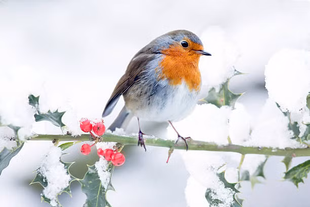 Sinh vao 3 thang Am lich nay tuong lai sung tuc, thinh vuong-Hinh-2