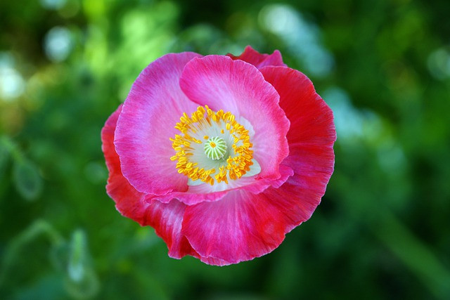 Buoc sang thang 10/2021, 4 con giap tai loc vut sang, lam an phat dat